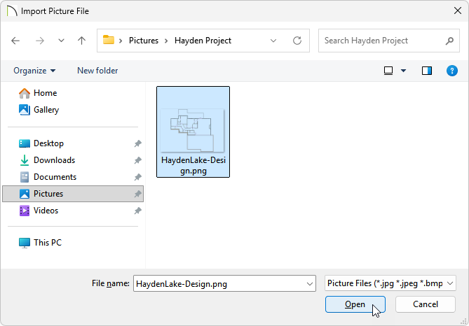 Import Picture File dialog with an image selected