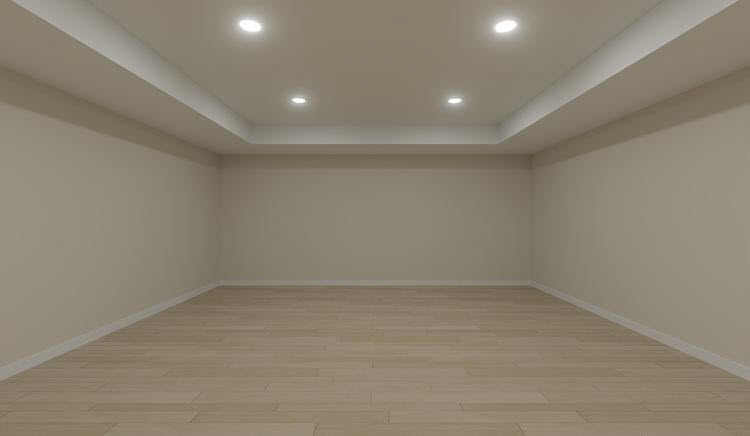 Perspective Full Camera view of a tray ceiling
