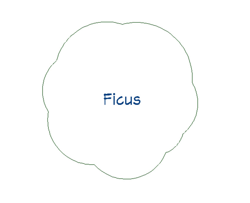 Plant Ficus 2D-Plan View