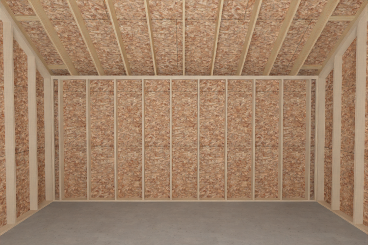 Full camera view of an area with exposed studs.