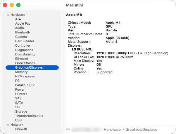 Graphics/Display section within the System Report