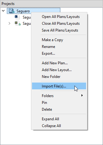 Right-click on a project in the Project Browser, then click Import Files from the contextual menu