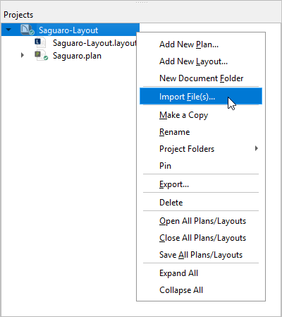 Right-click on a project in the Project Browser, then click Import Files from the contextual menu
