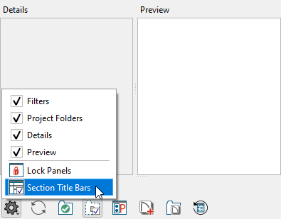 Clicking on the Project Browser Panel Options icon